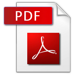 Icon PDF